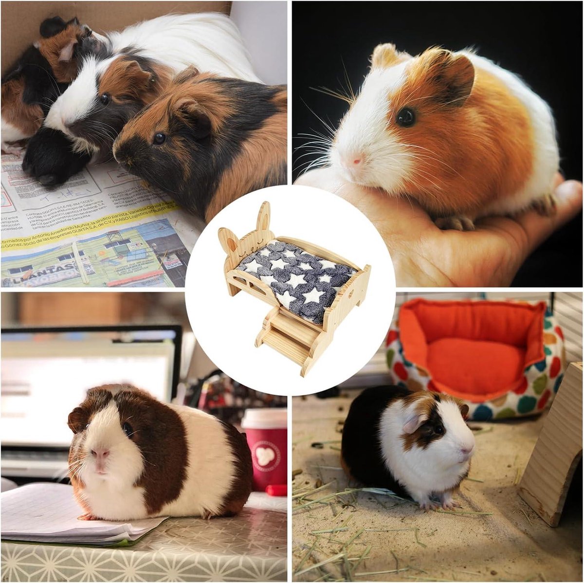 De Caviawinkel voor al uw caviabenodigdheden. Alles van en voor Cavia's