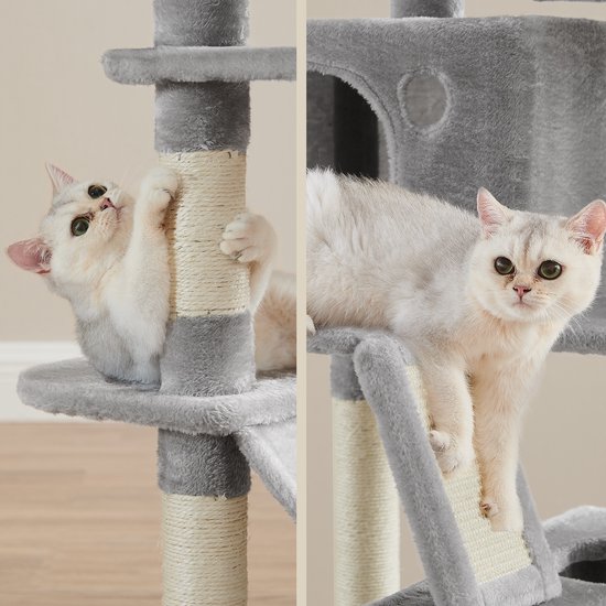 Deux chats jouent sur un arbre à chat gris avec un griffoir.