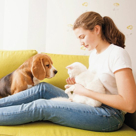 Beaphar Nature Line Zenuwtablet - Hond/Kat - 20 Stuks