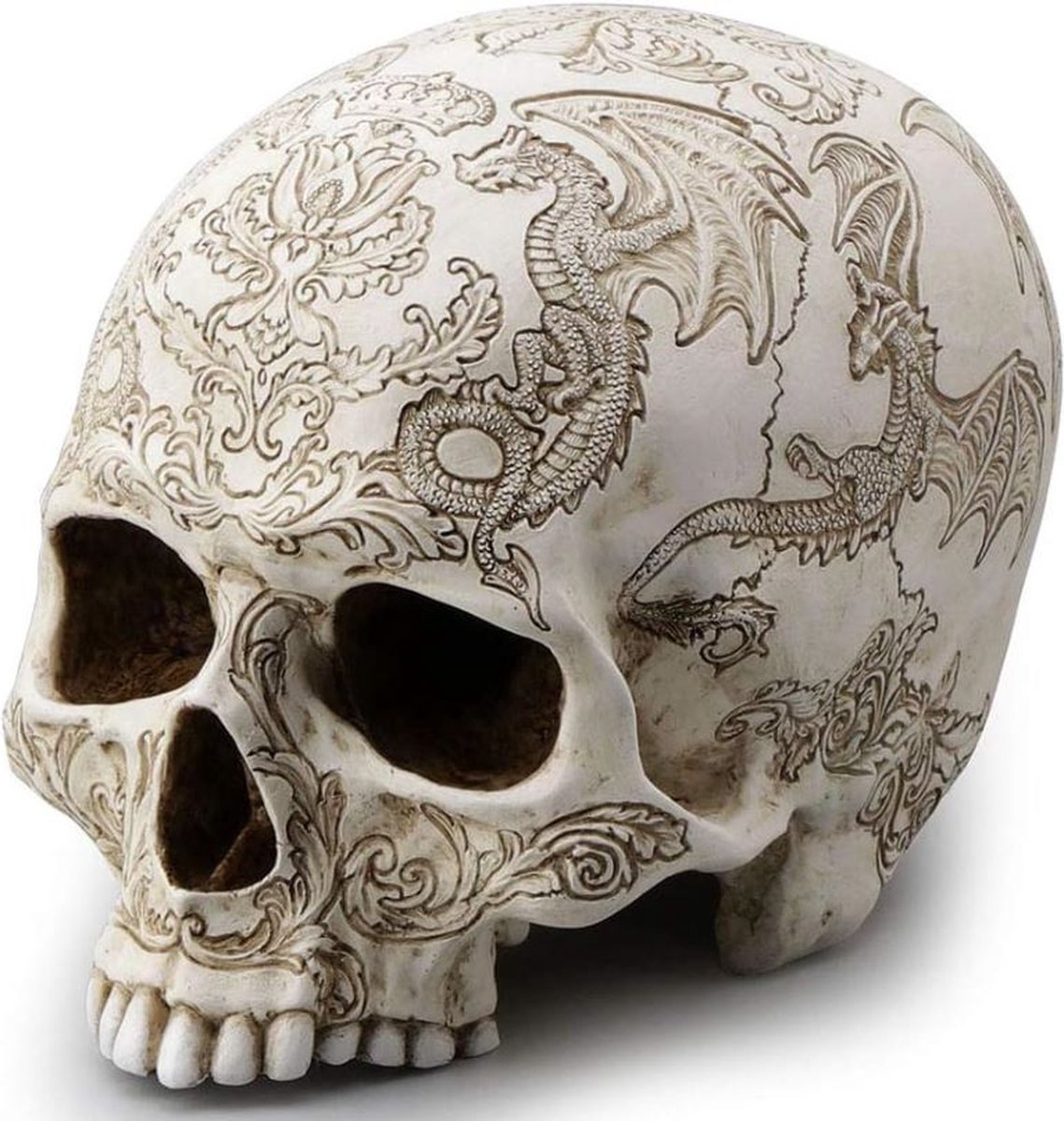Veronese Design - Schedel met Wapenschild Vliegende Draak en Distel - 18,5cm x 11,5cm x 13,5cm