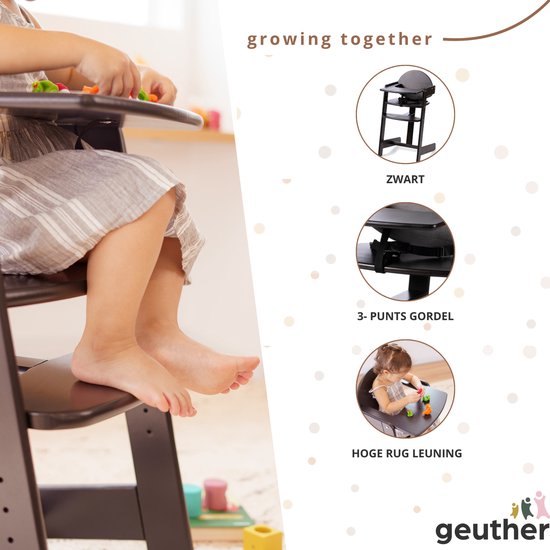 Geuther Filou - Houten Kinderstoel - Kinderzetel - Baby Eetstoel voor aan Tafel - Kinderstoeltje voor peuter - 3-punts gordels - Hoge babystoel - Zwart van Geuther — afbeelding 4