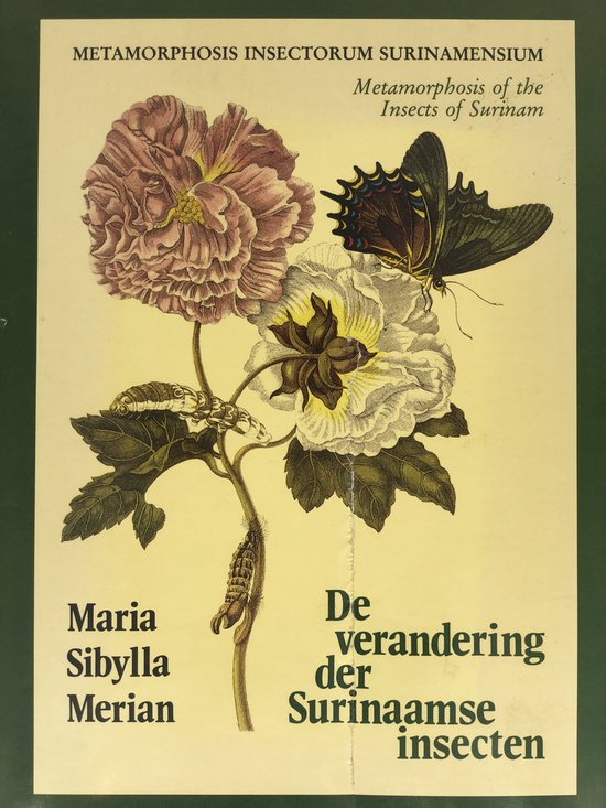 Metamorphosis Insectorum Surinamensium of de Verandering der ... - cover