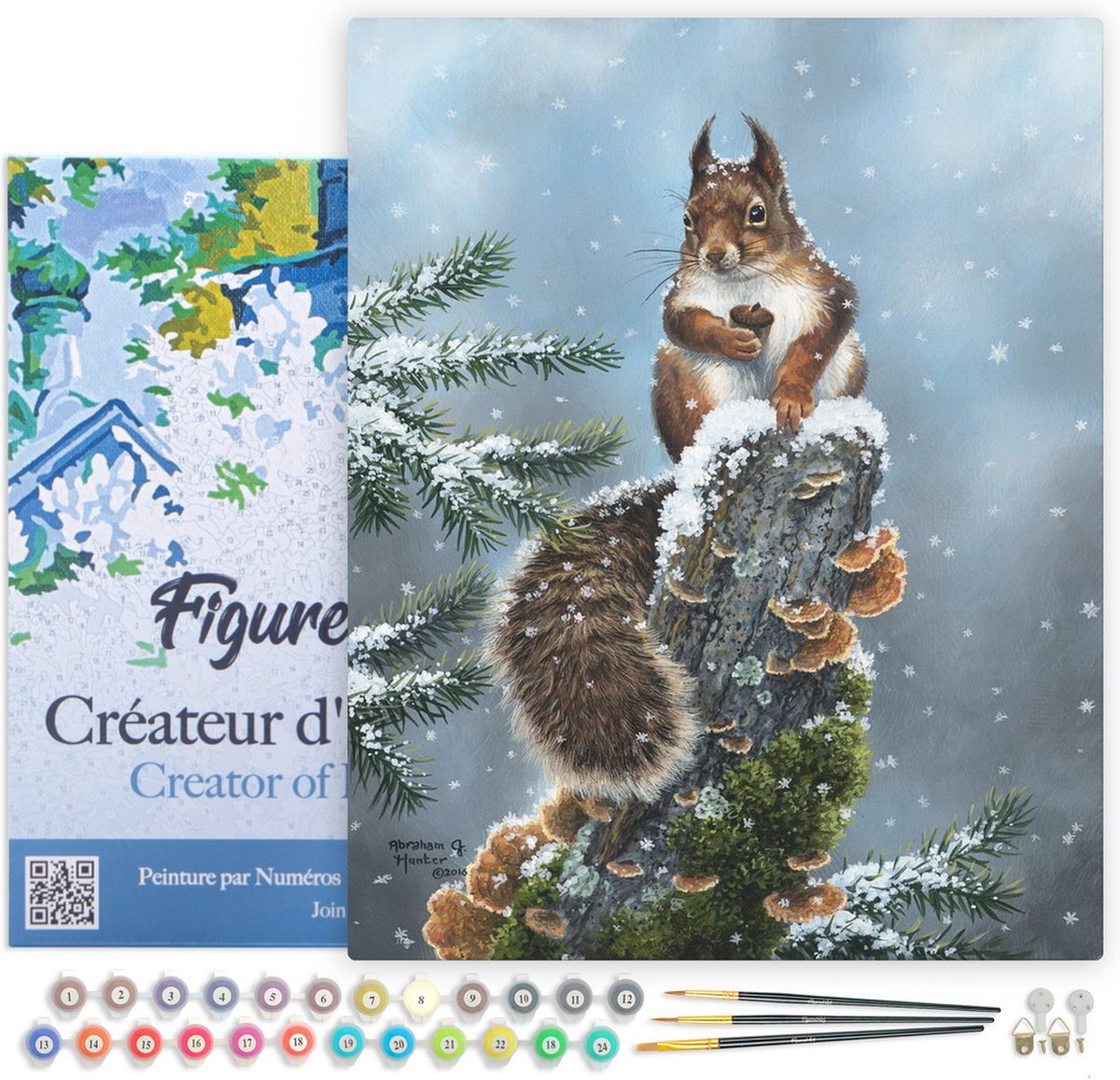 Figured'Art Schilderen op Nummer Volwassenen met lijst - Neergestreken eekhoorn - Handwerk acrylverf Kit DIY Compleet - 40x50cm Canvas al ingelijst