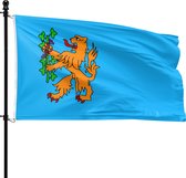 Lichtblauwe vlag met een oranje leeuw die een plant met bessen vasthoudt.