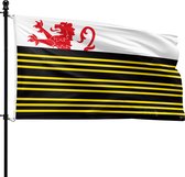 De vlag van Eersel heeft een witte bovenhelft met een rode leeuw en een zwarte onderhelft met gele strepen.