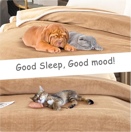 MIULEE Hondendeken voor huisdieren, 100 x 120 cm, pluizige fleece-stof, zacht en schattig, warm bedhoes, deken, wasbare slaapmat voor honden, katten, cavia, anaimals, groot, beige