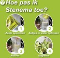 Stappenplan "Hoe pas ik Stenema toe?". Met vier cirkels die het oplossen van aaltjes in water tonen.