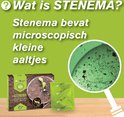 Stenema verpakking en zakje, naast een kamerplant. Vergroot beeld van microscopische aaltjes.