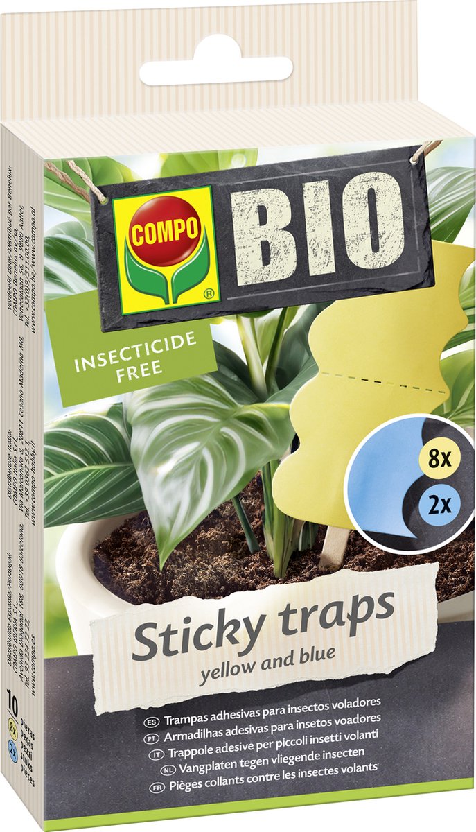 COMPO Bio Sticky Traps - decoratieve lijmvallen tegen rouwmuggen - insecticidevrij - langdurige kleefkracht - 10 stuks