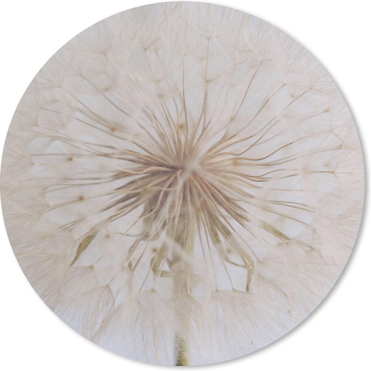 Muismat rond 40x40 cm - Mousepad Bloemen - Paardenbloem - Design - Ronde muismatten