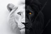 K&C Art (Peinture sur toile) 120x80cm | Tête de lion fendue de lion blanc et noir - animal - moderne - art | Séjour - chambre - hall - bureau | Impression de peinture photo sur toile - décoration murale - décoration murale - art mural