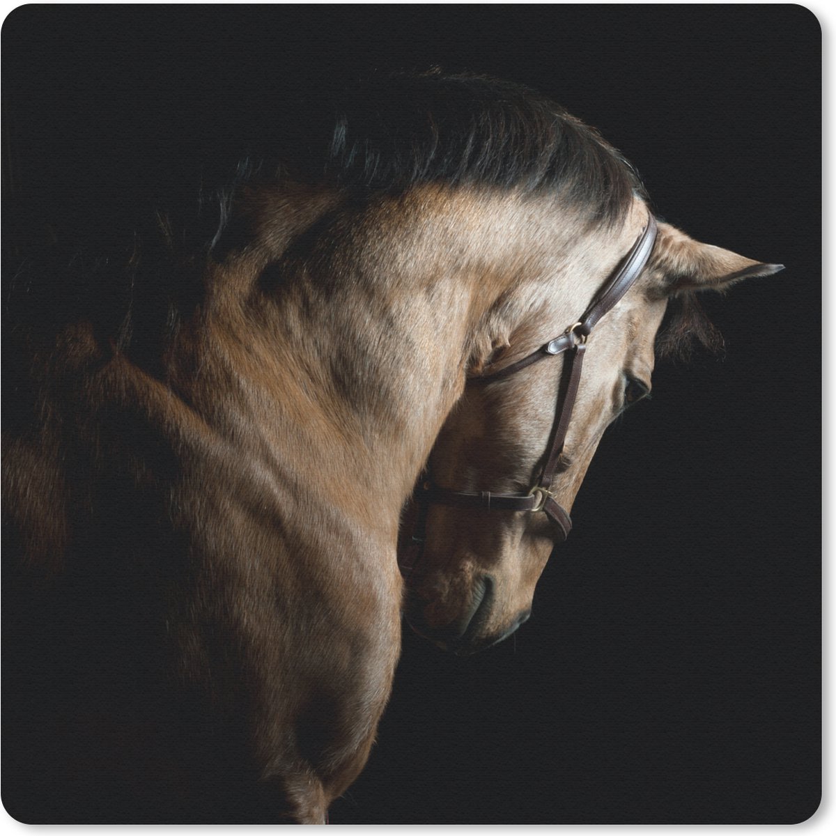 Muismat 20x20 cm - Mousepad Paarden - Halster - Zwart - Muismatten