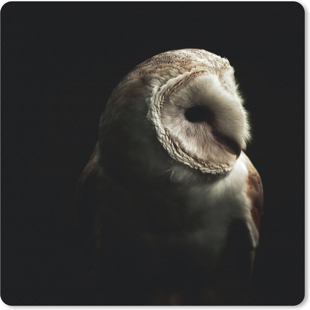 Muismat 30x30 cm - Mousepad Uil - Vogel - Portret - Muismatten