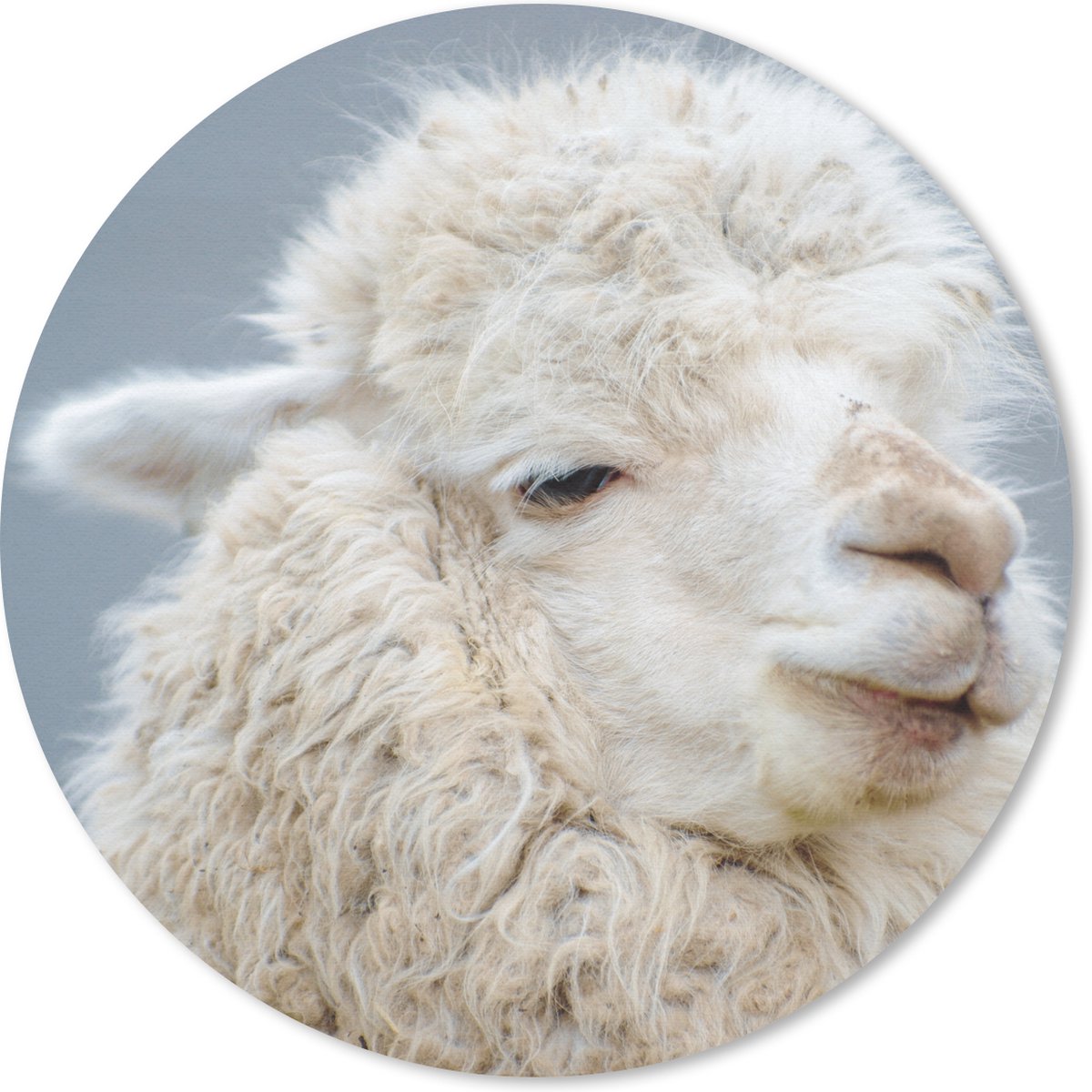 Muismat rond 40x40 cm - Mousepad Alpaca - Wol - Wit - Ronde muismatten