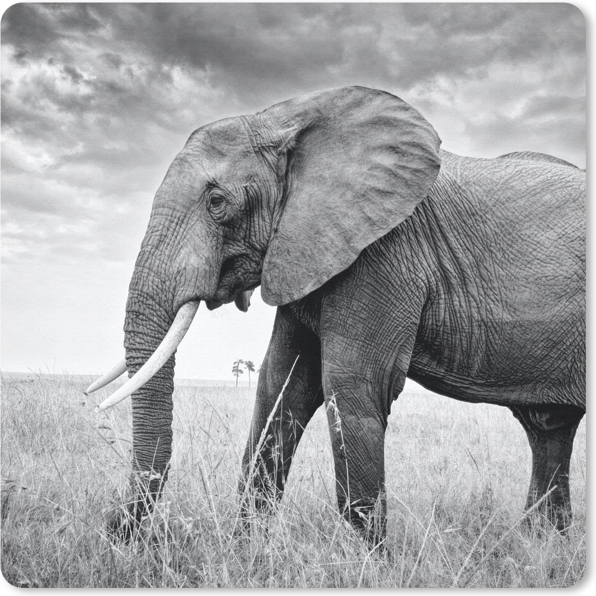 Muismat 20x20 cm - Mousepad Olifant - Gras - Dieren - Zwart wit - Muismatten