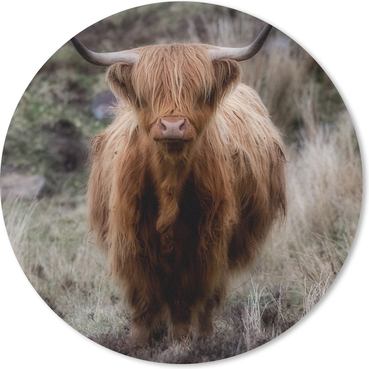 Muismat rond 40x40 cm - Mousepad Schotse Hooglander - Mos - Gras - Ronde muismatten