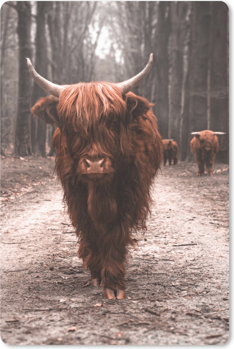 Muismat 18x27 cm - Mousepad Schotse hooglander - Bos - Koe - Dieren - Natuur - Muismatten