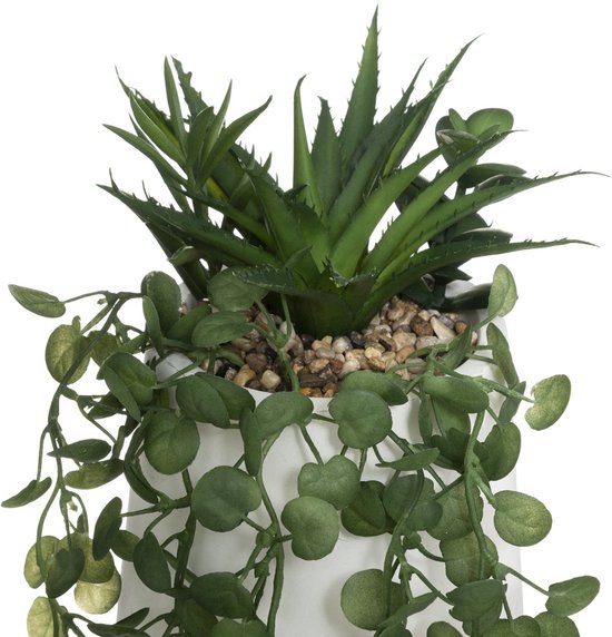 Plante artificielle PEPEROMIA, à suspendre