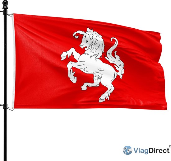 Foto: Vlagdirect twentse vlag twente vlag 90 x 150 cm 