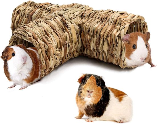 TOYANDONA 2 Stück Hamster Tunnel - Versteckröhren Für Kleintiere & Nager
