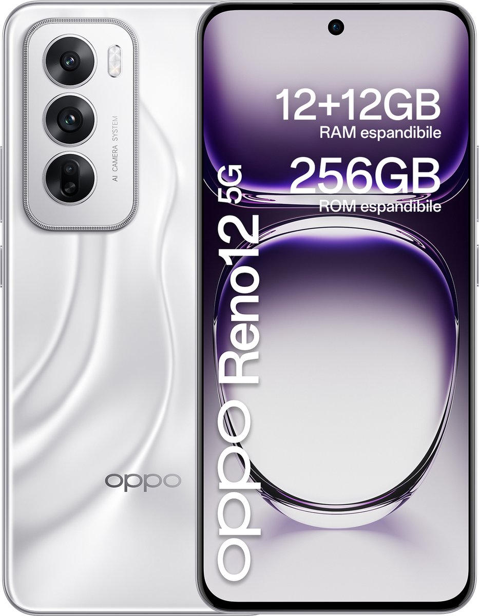 OPPO Reno12 5G 17 cm (6.7") Dual SIM Android 14 USB Type-C 12 GB 256 GB 5000 mAh Zilver