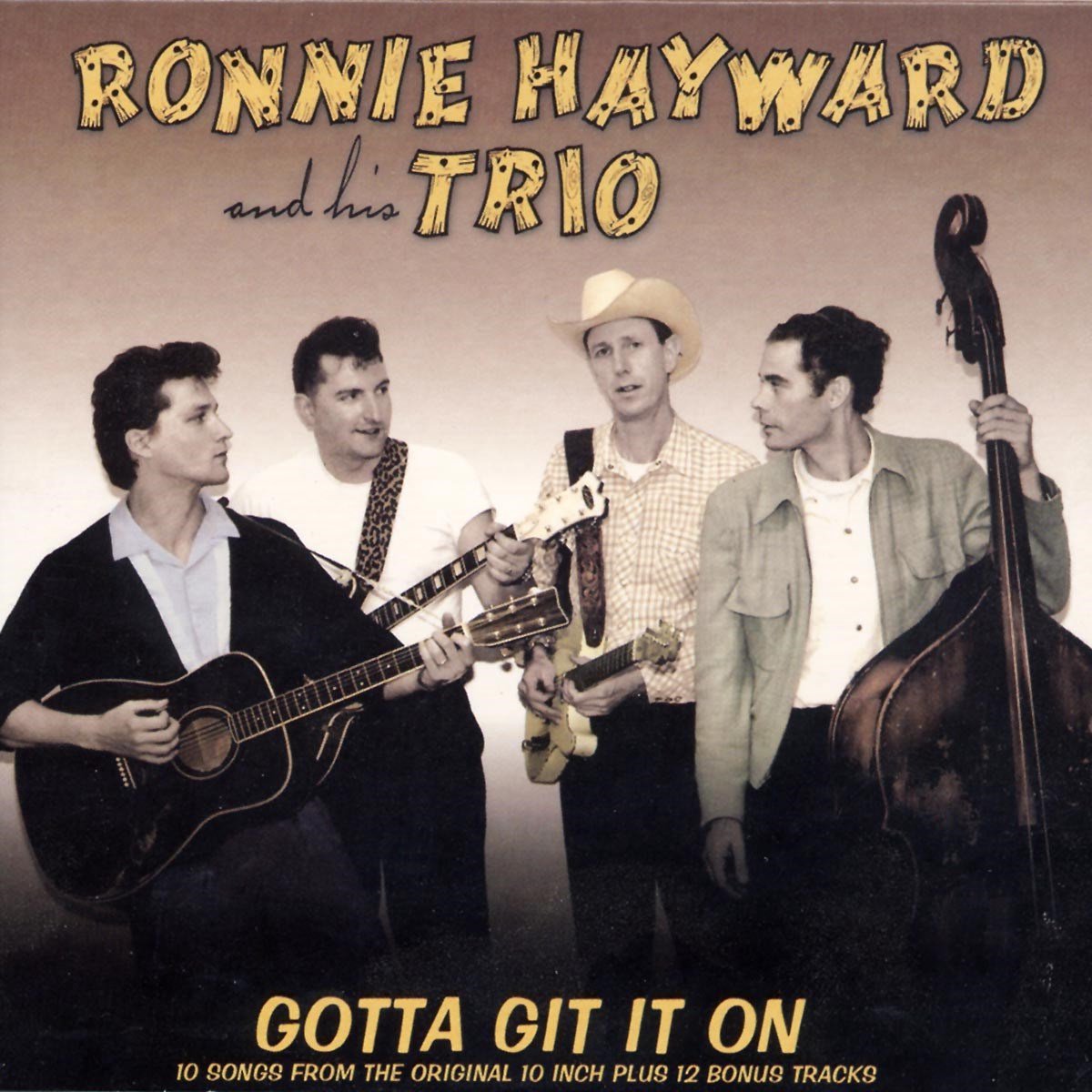 Ronnie Hayward Trio - Gotta Git It On (CD)