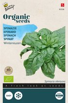Buzzy Zaden Spinazie Securo (BIO)
