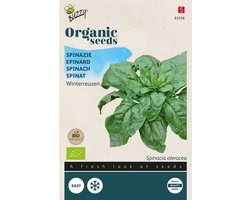 Buzzy Zaden Spinazie Securo (BIO)