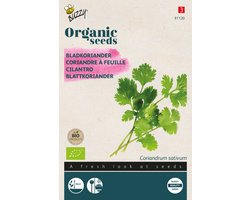 Buzzy® Organic Koriander (BIO)