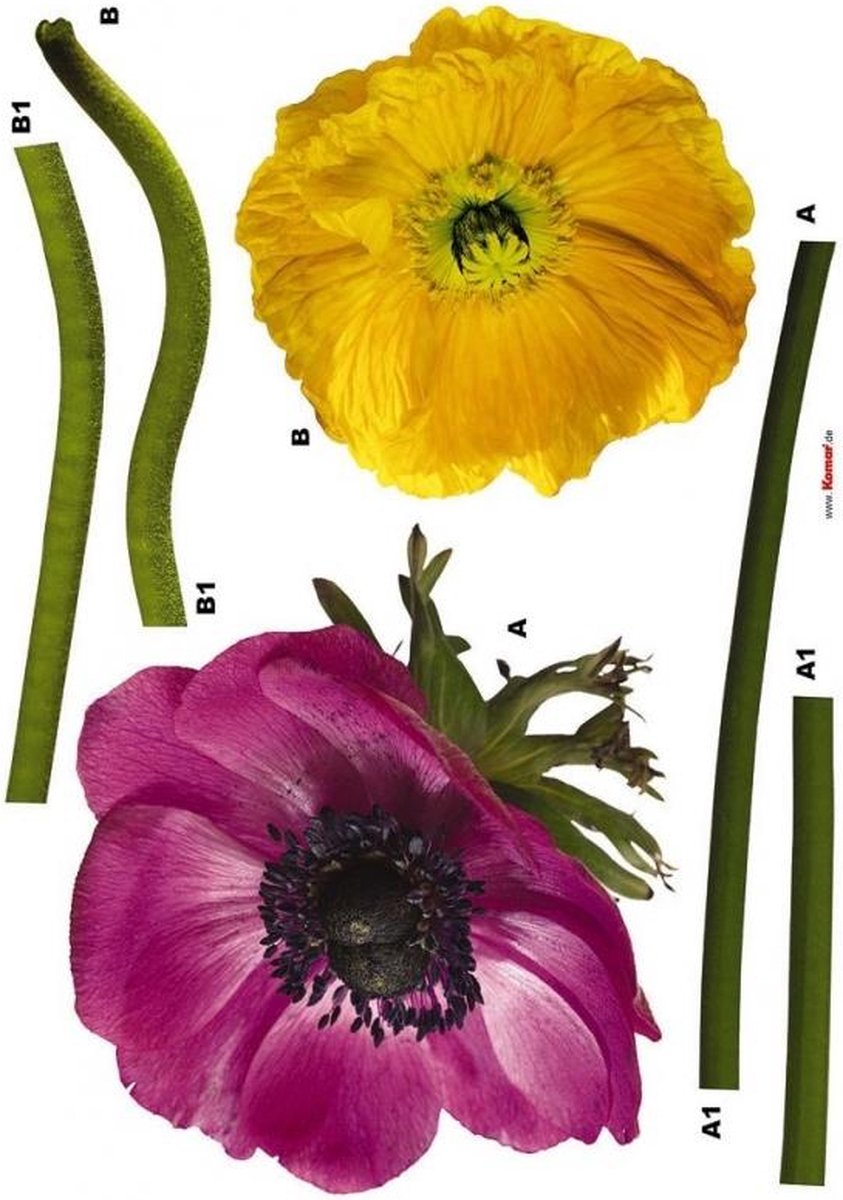 Komar - Muursticker - Bloemen - Behang sticker - Zelfklevend - Muurdecoratie - Stickers - 50 x 70 cm
