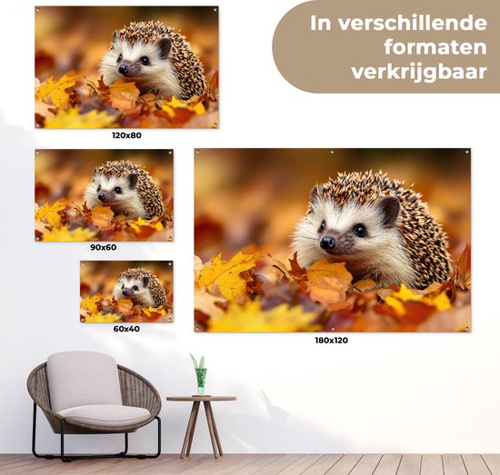 Poster van een egeltje in herfstbladeren, verschillende maten.
