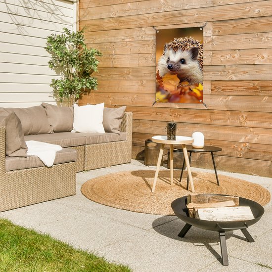 Een egel in herfstbladeren hangt aan een houten schutting in een tuin.