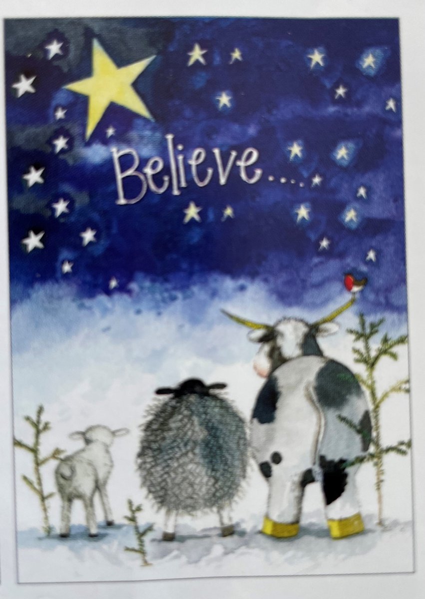Alex Clark Theedoek Kerst Christmas Believe ~ Hond en Schapen winter/kerst