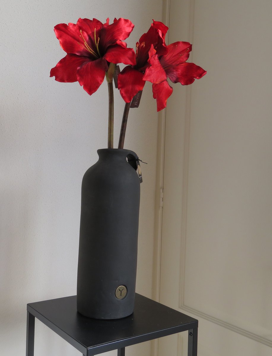 BRYNXZ Fles opgemaakt met Silkka Rode Amaryllis