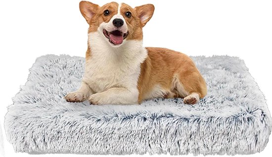 Orthopedisch groot hondenbed met anti-angst comfort antislip bodem en zachte deken 120 x 90 x 10 cm, ideaal voor middelgrote en kleine honden en katten