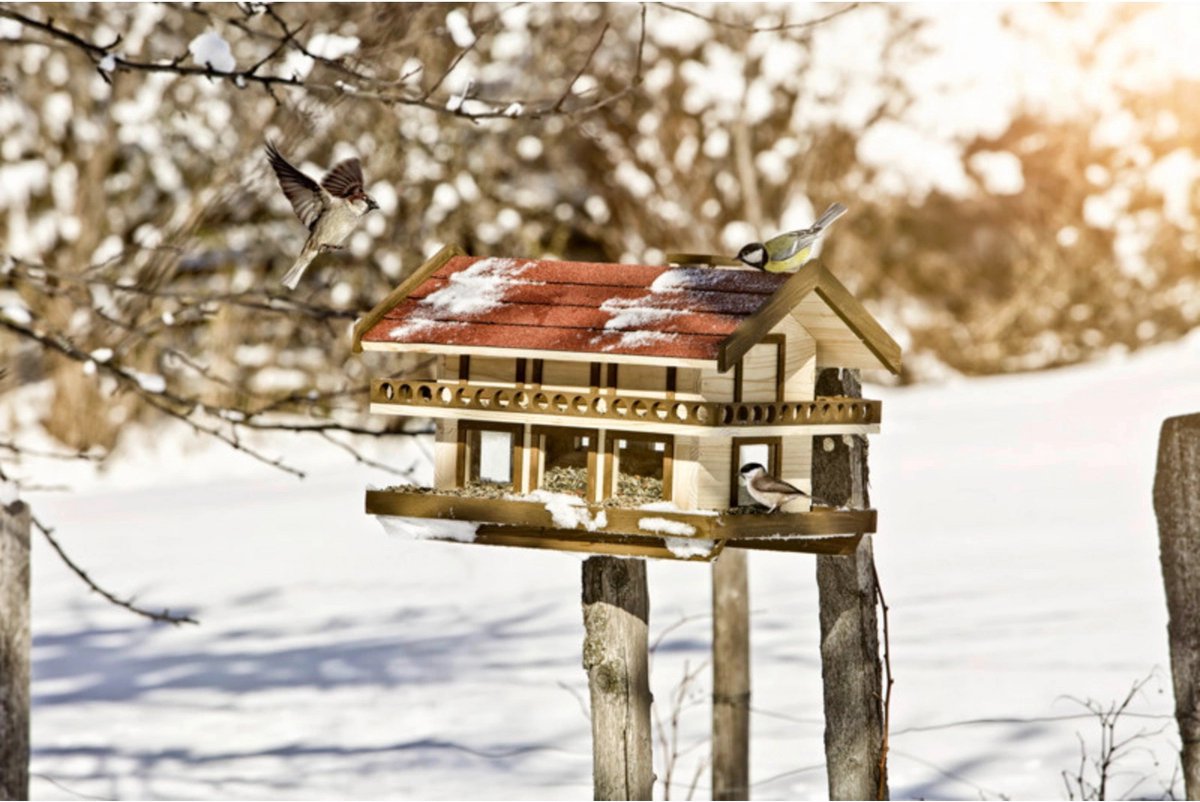 Windhager® Vogelvoederhuisje op Paal Landhuis XXL - Vogelhuis, vogelvoederhuisjes voor tuinvogels - Vogelvoedersilo XXL