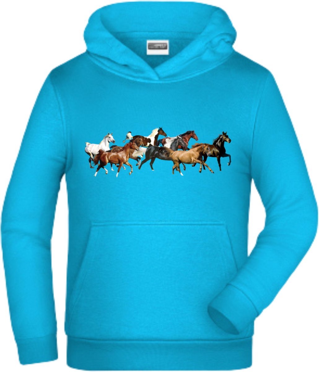 Blauwe hoodie met paarden -James & Nicholson-146/152-Hoodie meisjes