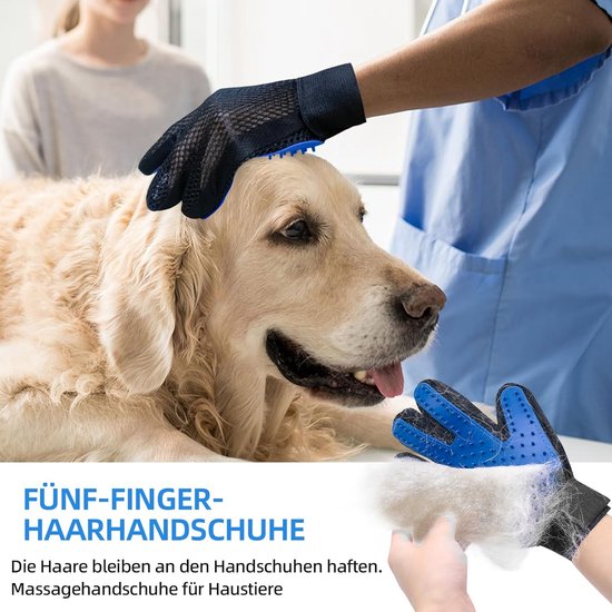 Ze staarde door het kleine venstertje. - neerlandés - - Learn new lan