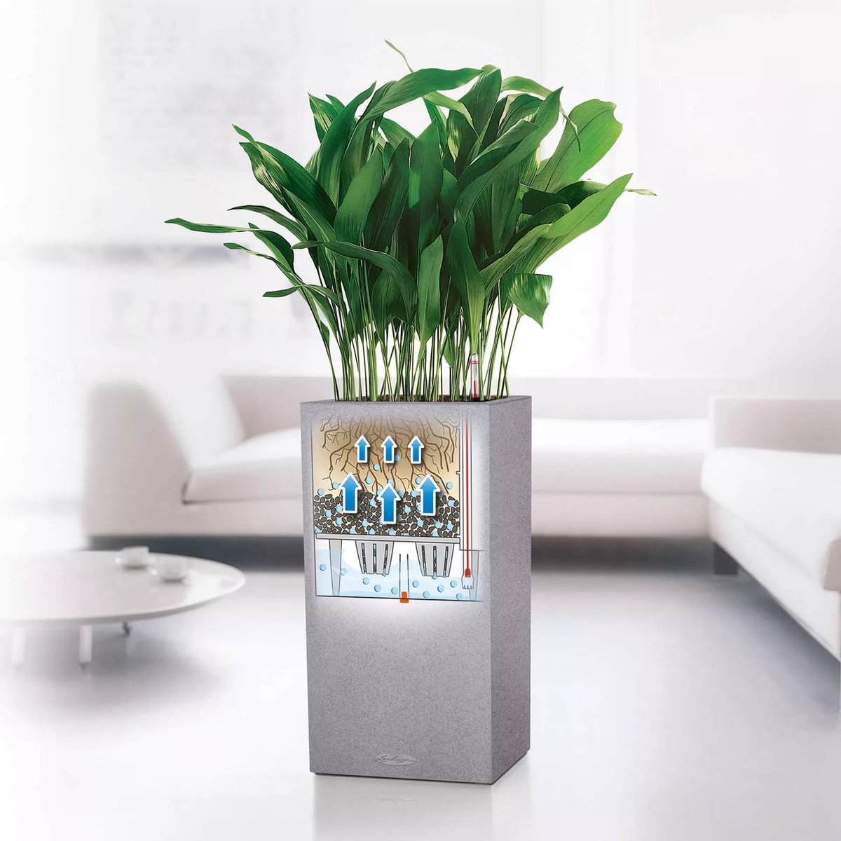 Lechuza Canto Stone 30 high - Planter - with removable inner pot