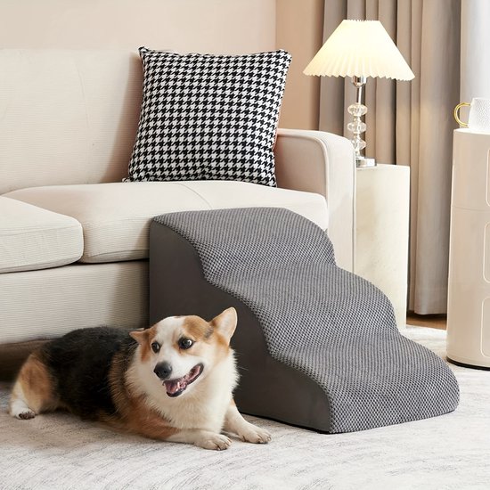 Vind hondenloopplank in Honden-accessoires op