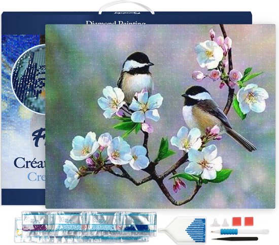 Figured' Art Diamond Painting Set Adultes 40x50 cm avec cadre Petits oiseaux et fleurs blanches - 5D DIY Art Full Drill Square Diamond - Toile déjà encadrée