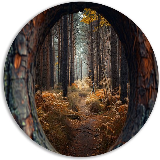 doorkijk wandschaal - Persoon muurdecoratie rond - Muurdecoratie rond Mens - Wanddecoratie industrieel - Wanddecoratie rond - Wanddecoratie woonkamer muurcirkel forex 40x40 cm