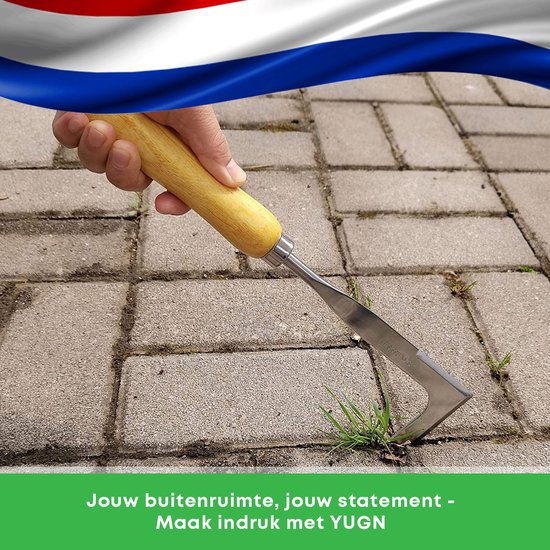 Hand gebruikt een onkruidkrabber om onkruid tussen stenen tegels te verwijderen.Nederlandse vlag op achtergrond.