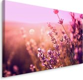Schilderij - Betoverend lavendel, premium print