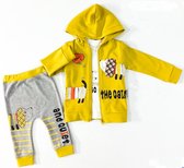 Baby kledingset 3 delig Joggingpak Bestaat uit vest met capuchon, jogging shirt en joggingbroek. 100% katoen