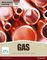 NVQ Level 3 Diploma Gas Pathway Candidat