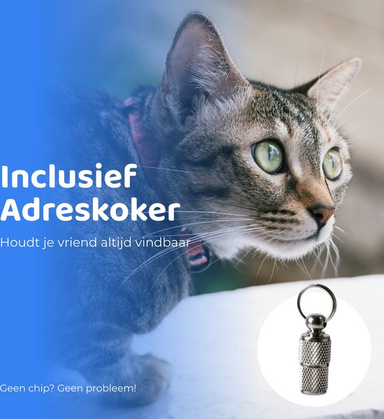 ACE Pets Reflecterende Kattenhalsband met Veiligheidssluiting - Halsband Katten & Kitten Verstelbaar - Adreskoker Kat - Halsband met Belletje - ACE Pets