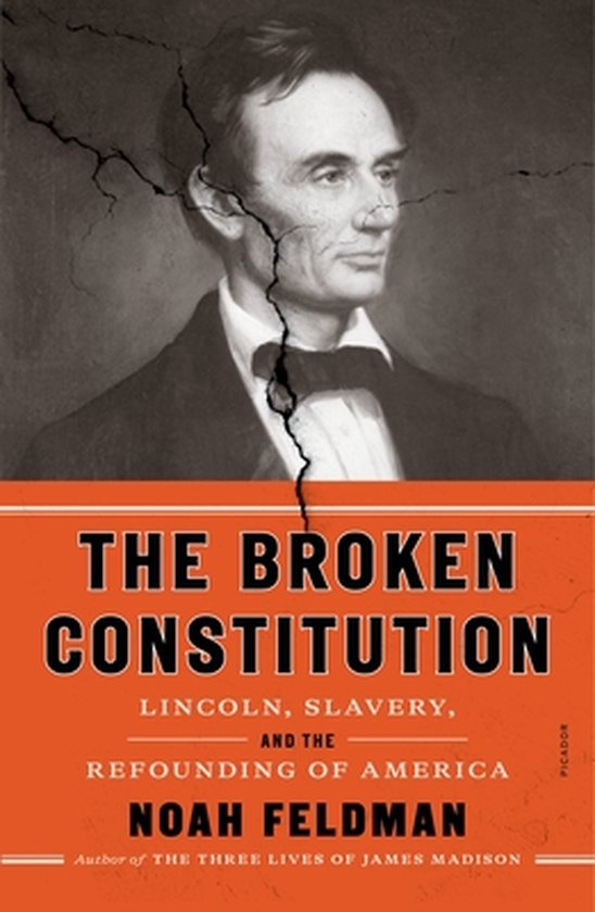 The Broken Constitution - cover