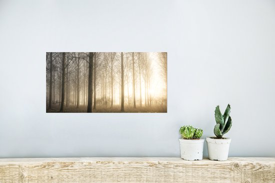 Affiche Forêt - Soleil - Brouillard - 40x20 cm