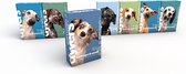 Luxe hondenmenu Dyvers - Dagelijks wisselende hondenbrokken - 100% natuurlijk hondenvoer - 7x1kg